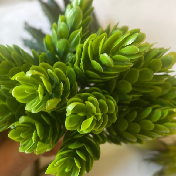 7Pcs Assorted Artificial Succulents Plants Unpotted Small Green Cactus Fake Faux - Picture 8 of 9